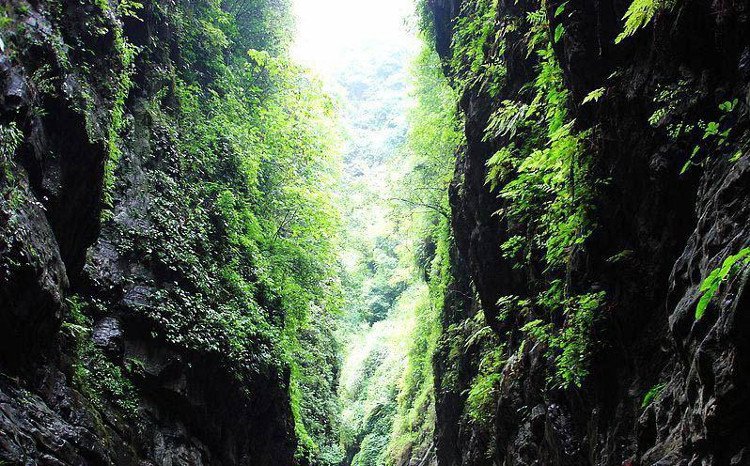 Giải mã bí ẩn về "Thung lũng chết" mang tên Tre Đen ở Trung Quốc